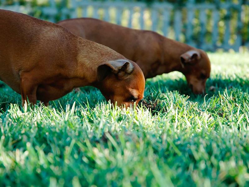 触觉反馈<br>ujcbtdu.cn 羊绒围巾触感